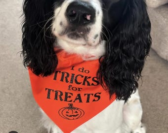 Halloween dog bandana, I Do Tricks For Treats Halloween  dog bandana