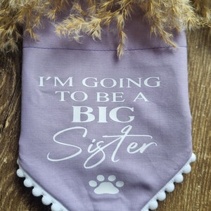 I'm Going To Be A Big Brother or Big Sister dog bandanas image 3