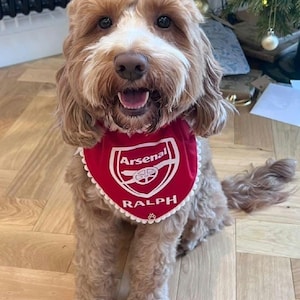 May include: A light brown, curly-haired dog wearing a red triangular bandana with white trim. The bandana features the white Arsenal football club crest and the name RALPH printed in white capital letters above a small paw print icon.