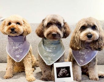 I'm Going To Be A Big Brother or Big Sister dog bandanas