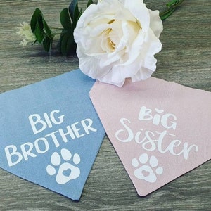 Dog big brother/sister bandana