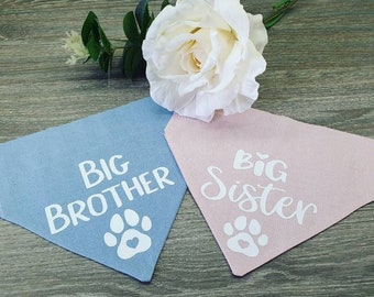 Dog big brother/sister bandana