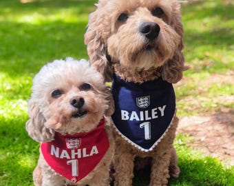 World cup Dog Bandanas