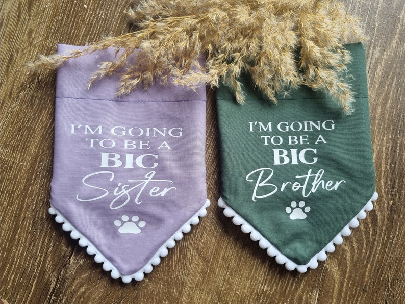 I'm Going To Be A Big Brother or Big Sister dog bandanas image 1