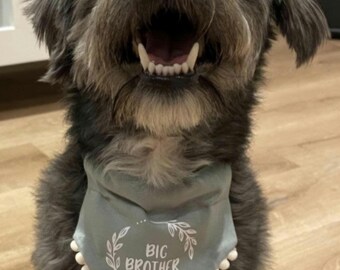 Big brother  Dog Bandana, Pregnancy Announcement,New Baby, Gender Reveal.
