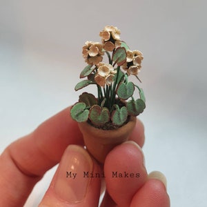 May include: A miniature potted plant with cream-colored flowers and green leaves. The pot is brown and the plant is about 2 inches tall.