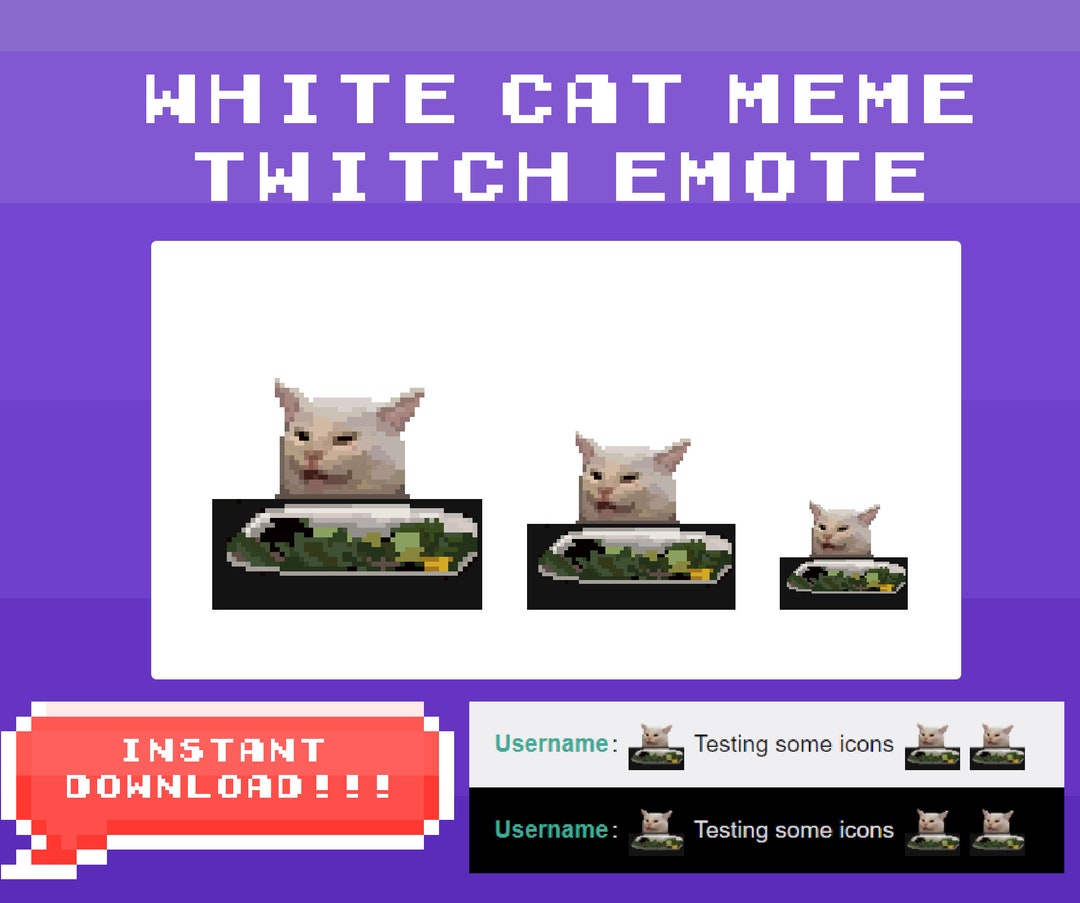White Cat Meme Pixel Art Twitch Emote - Etsy Canada