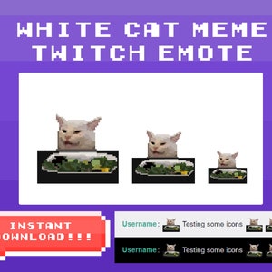 White Cat Meme Pixel Art - Twitch Emote - Etsy Australia