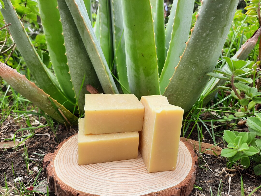 Organic Aloe Vera Soap Bar Etsy