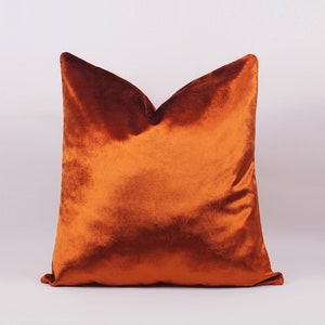 May include: A burnt orange velvet pillow with a smooth, soft texture.