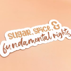 Sugar, Spice, and Fundamental Rights Sticker | Roe v Wade Sticker | Feminist Sticker | Hydroflask Sticker | Reproductive Rights Gift