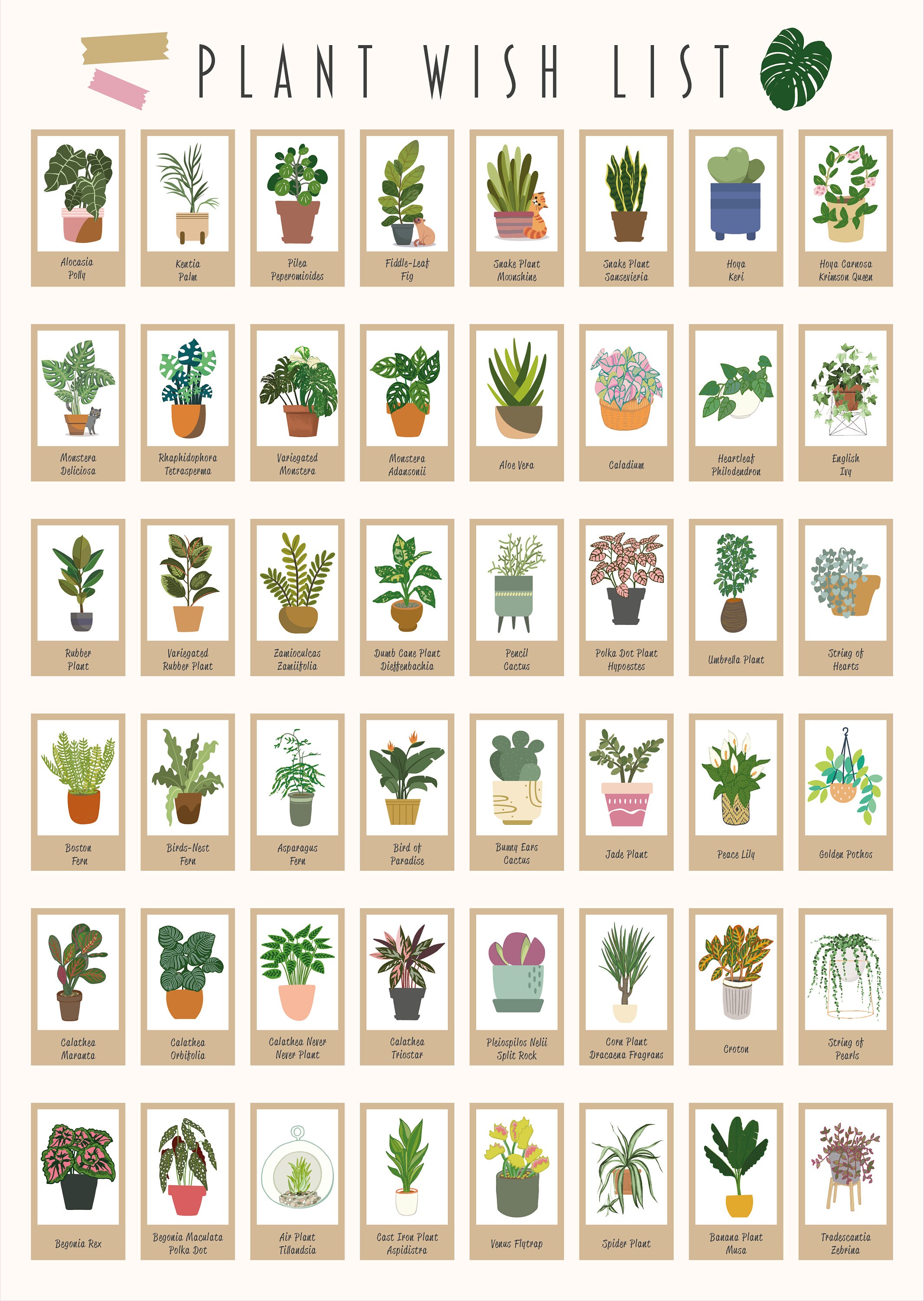 House Plant Wish List A2 Scratch Poster - Etsy UK