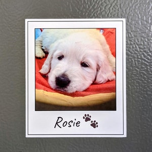 Custom Photo Magnet, Fridge Magnet Dog, Personalised Pet Picture for Cat Mum, Photo Gift for Dog Dad, Small Gift for Dog Lover, Mothers Day