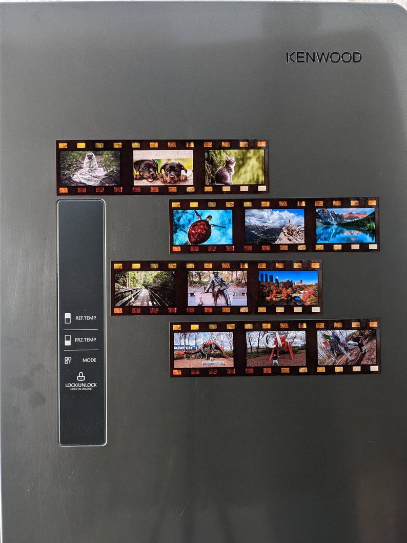 May include: A silver refrigerator with a Kenwood logo and a series of film strip magnets with various images, including a cat, a dog, a turtle, a mountain, a city, and a dinosaur.
