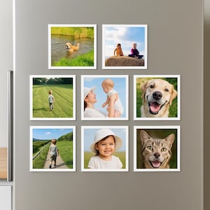 Può includere: Una collezione di stampe fotografiche quadrate con bordi bianchi, con vari soggetti. Le immagini includono un cane in acqua, bambini su un balla di fieno, un bambino che cammina in un campo, una madre e un bambino, un cane sorridente, un bambino con un cappello e un gatto.