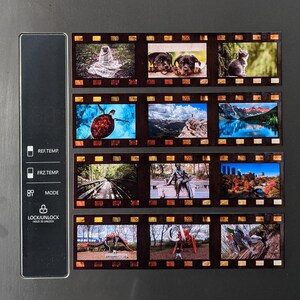 May include: A film strip with 10 different images. The images include a cat, a turtle, a mountain range, a lake, a forest path, a statue, a city skyline, a dinosaur, a red sculpture, and a red sculpture with a white top.