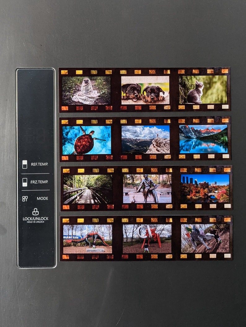 May include: A film strip with 10 different images. The images include a cat, a turtle, a mountain range, a lake, a forest path, a statue, a city skyline, a dinosaur, a red sculpture, and a red sculpture with a white top.
