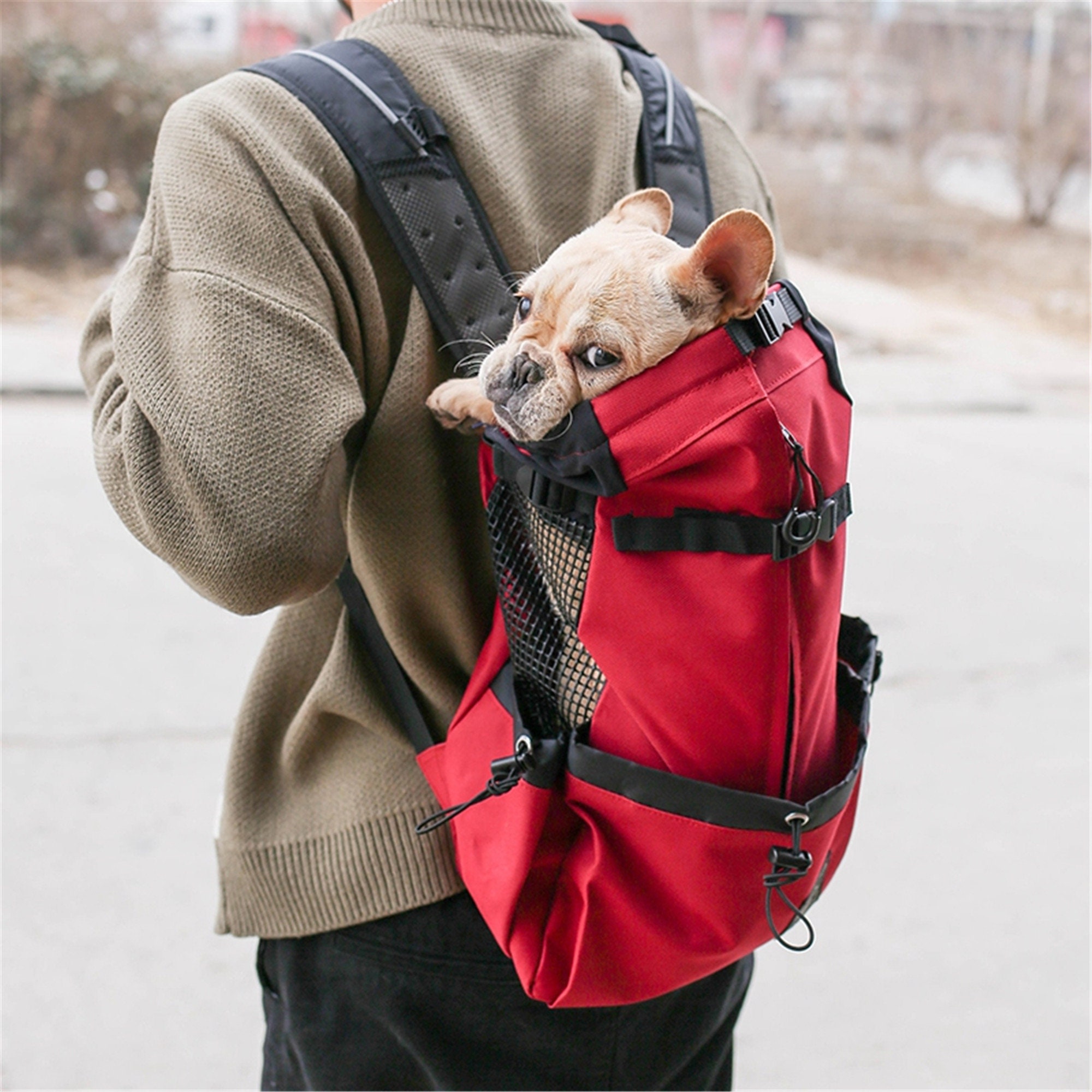 Outdoor Travel Puppy Medium Dog Backpack for Small Dogs Etsy