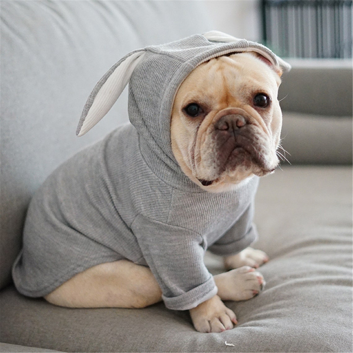Cute French Bulldog Hooded Coat Jacket Winter Warm Pet Clothes Etsy