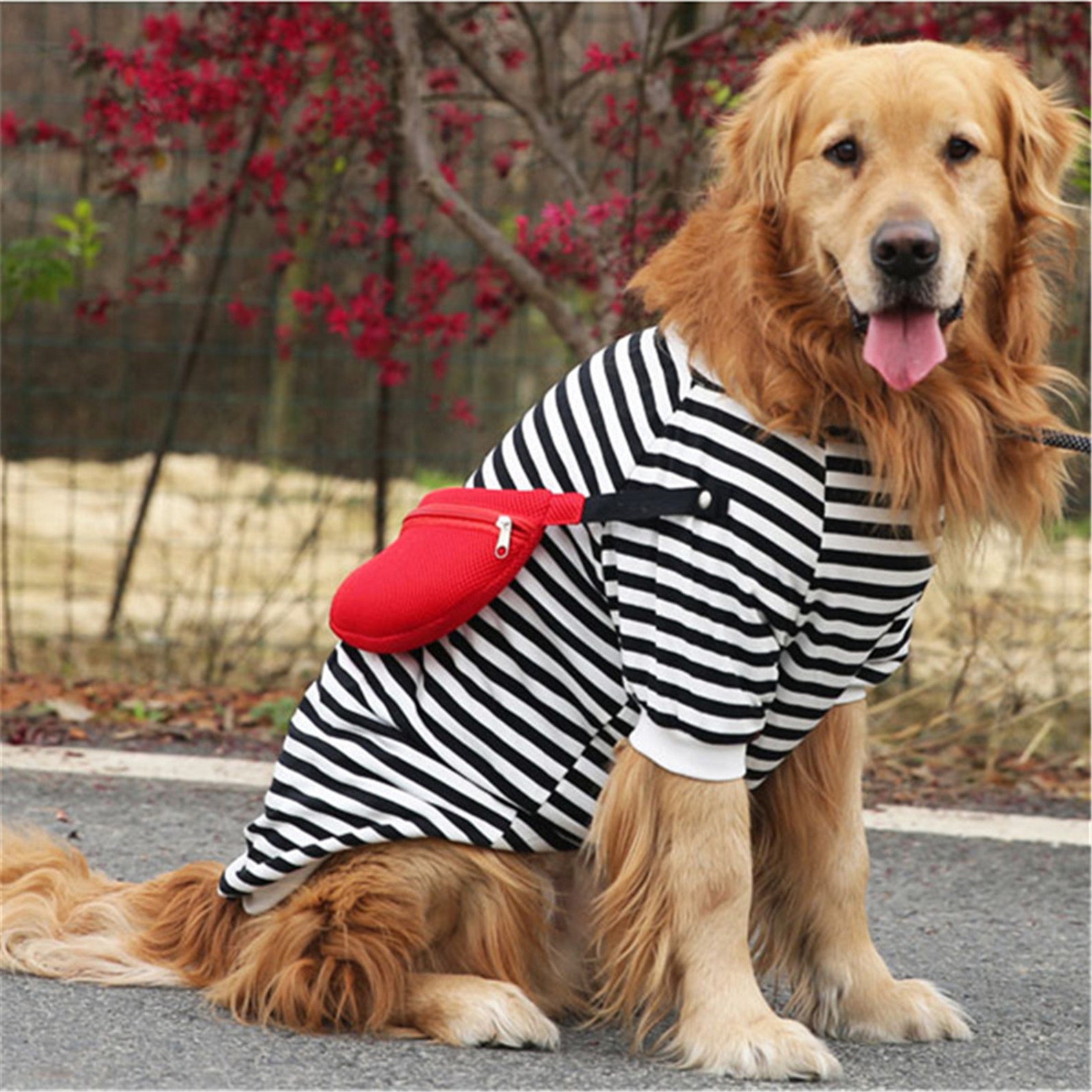 Tshirt pour chiens Printemps Été Vêtements De Chien Tee Shirt Etsy