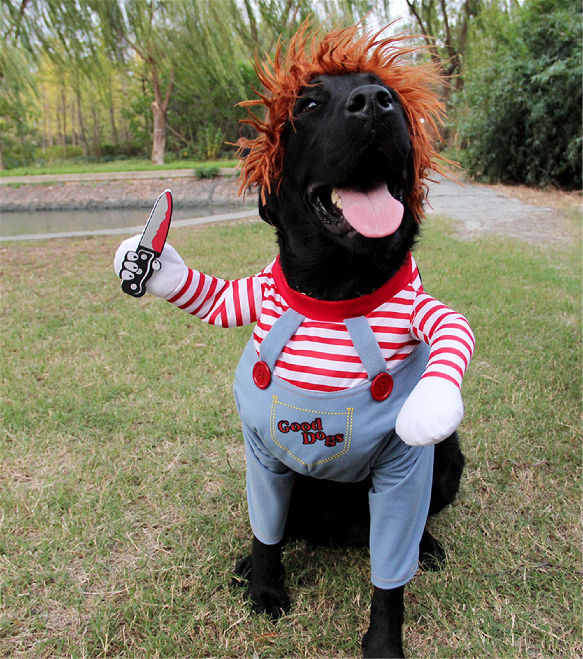 Hundekostüme Lustige Haustier kleidung Verstellbar Hund Etsy
