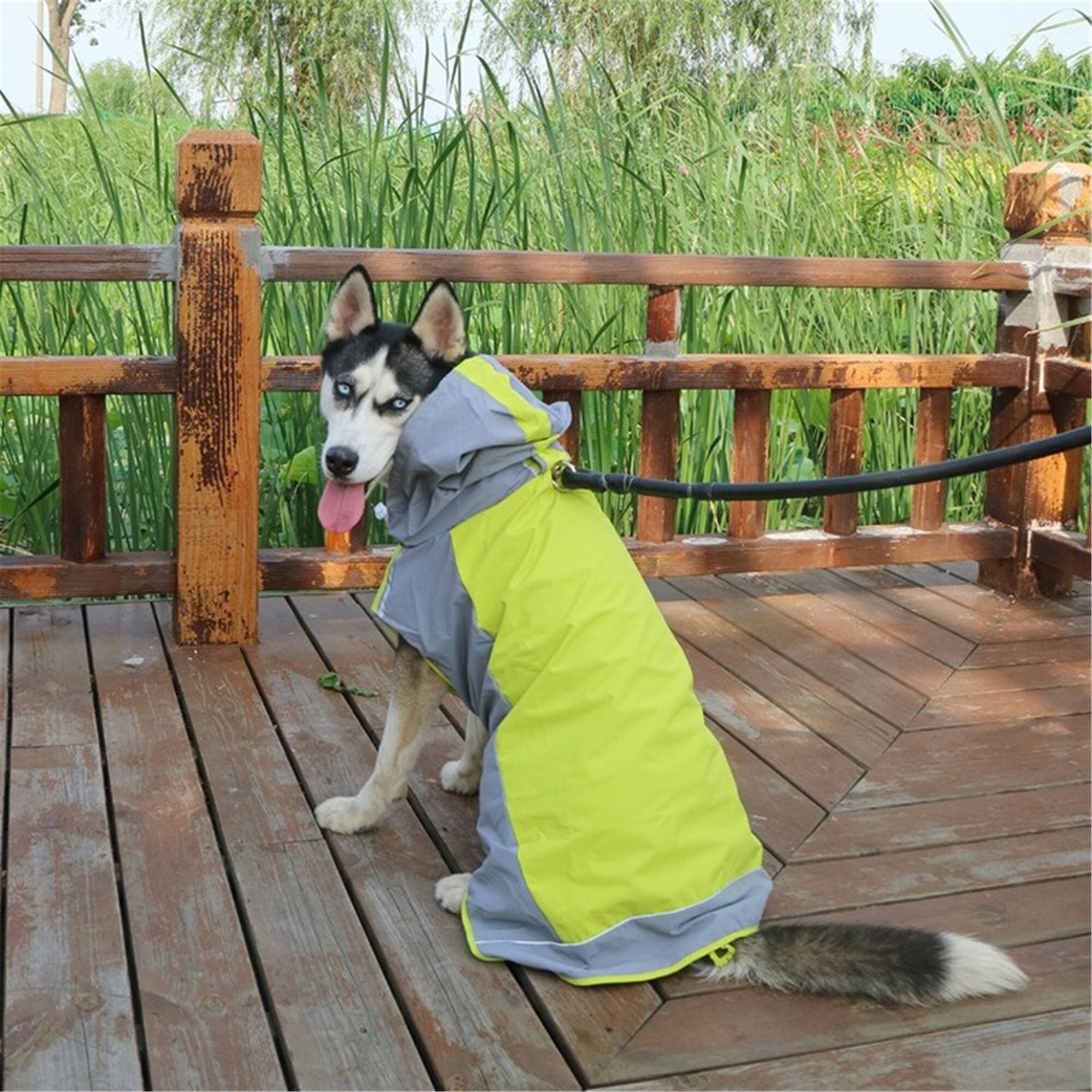 Manteau De Pluie Pour Chien Maxi Zoo