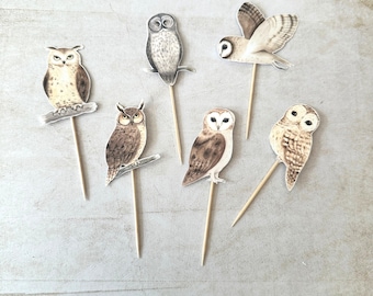 Adornos para cupcakes con forma de búho, decoración de fiesta hecha a mano con acuarela para amantes de las aves, juego de 6 o 12 adornos de cumpleaños para pasteles pequeños.