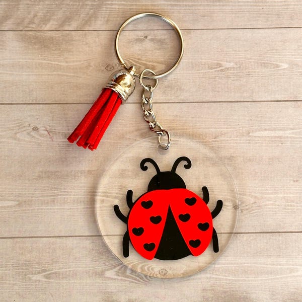 Ladybird Keyring, Clear Acrylic Keyring with Ladybug & Coloured Tassel, Round Bag Accessory