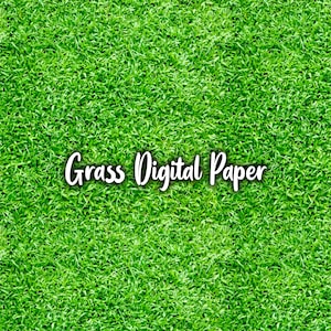 Green Grass Digital Paper, Grass Clipart, Nature Clipart, Grass Design elements, Grass Background 12x12 Inch 300 DPI, Instant Download