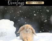 Realistic Snow Overlay PNG Clip Art, Falling Snow Overlay, Snow Filter Overlays, Photoshop Overlays, Windy Snow overlay, Winter Overlays
