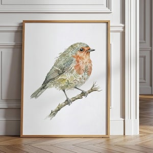 Könnte beinhalten: Ein gerahmter Kunstdruck mit einer Aquarellillustration eines Rotkehlchens auf einem dünnen Ast. Der Körper des Vogels besteht aus komplizierten grünen und braunen botanischen Blattmustern mit einer markanten orange-roten Brust.