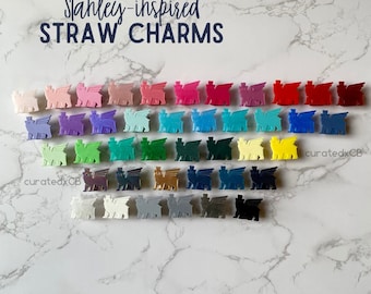 Stanley Tumbler Inspired Straw Charms 