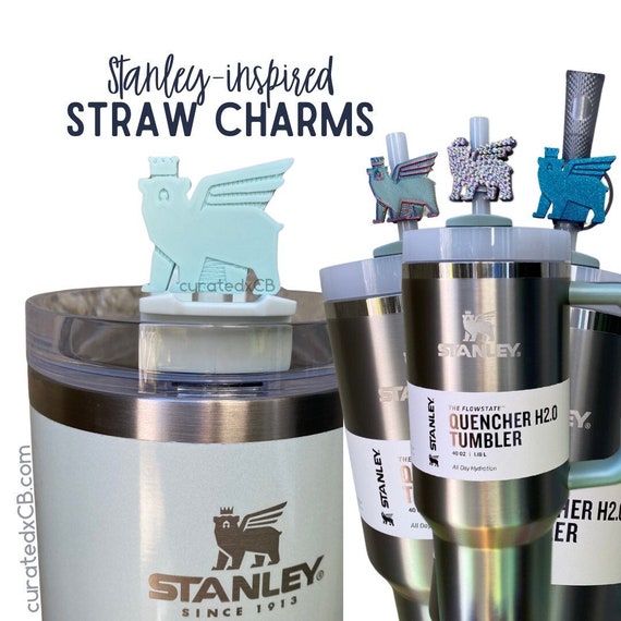 Stanley Tumbler Inspired Straw Charms 