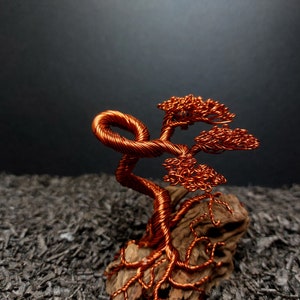 Wire sculpture, bonsai tree