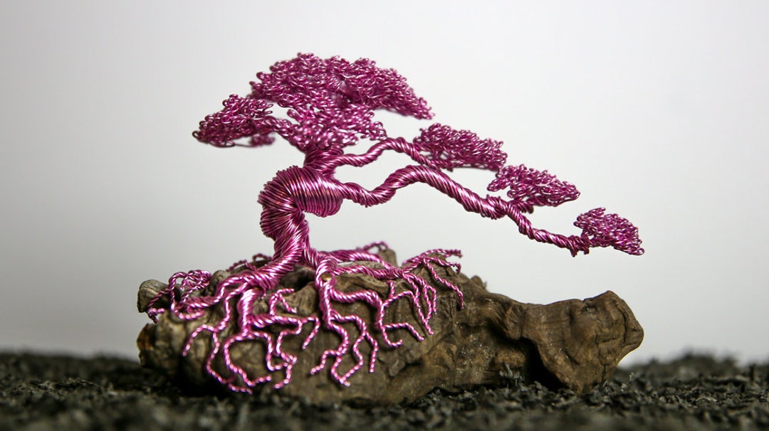 Wire Sculpture, Bonsai Tree Etsy