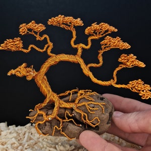 Wire sculpture, bonsia tree