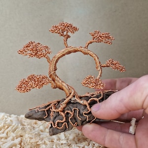 Wire sculpture bonsia tree