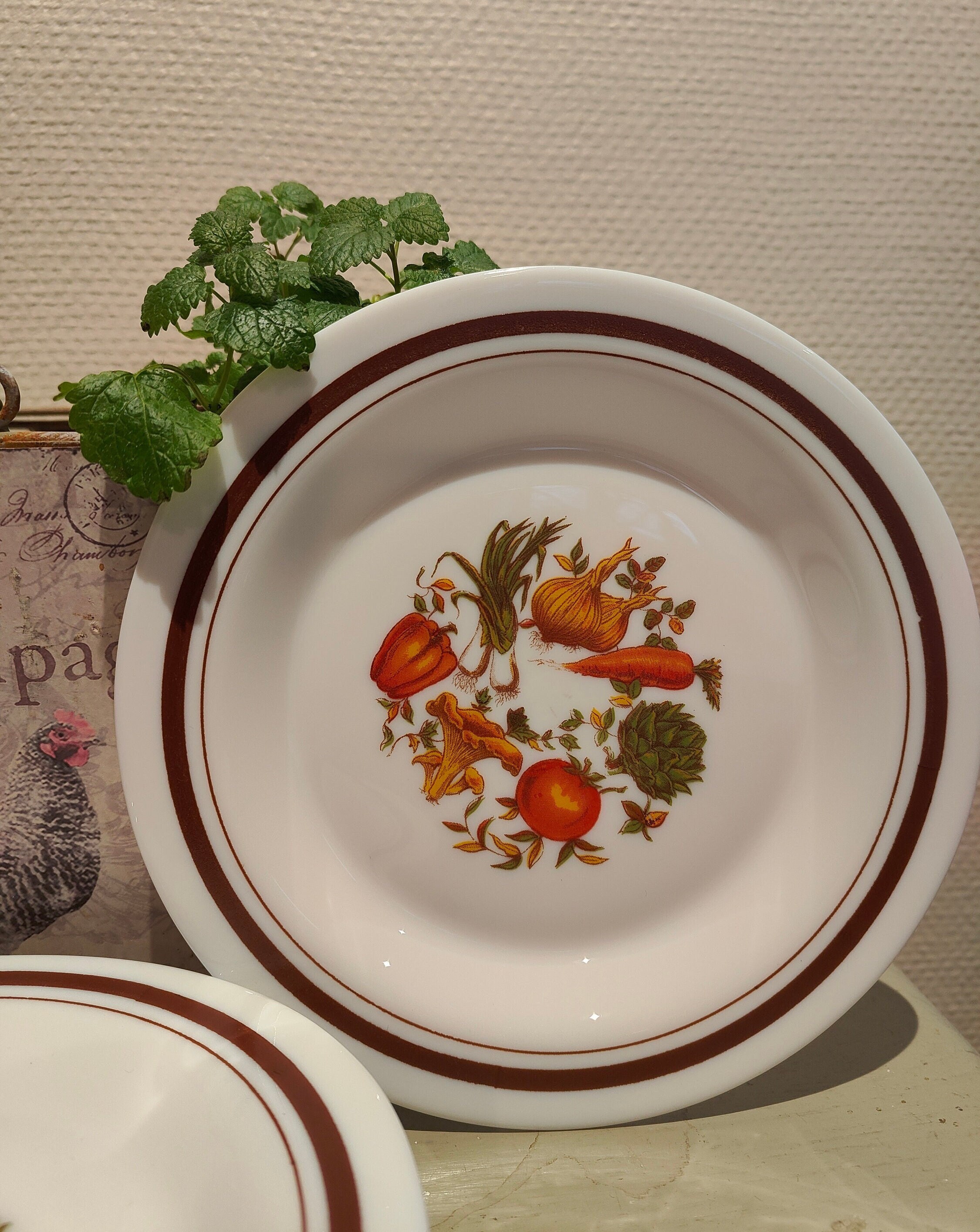 6 ARCOPAL LEGUMES vintage set van 6st- ontbijt- of dessertborden