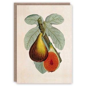 Cartão de felicitações Fig
