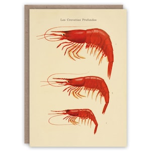 Carte de voeux Crevettes