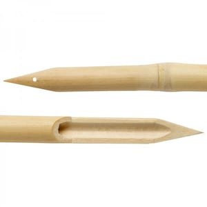 Penna di bambù - Grande
