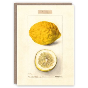 Carte de voeux Citron