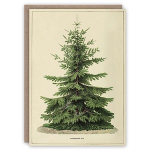 Greeting Card NORDMANN FIR