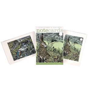 FICHES DE NOTES lièvres cachés / martins-pêcheurs et écureuils