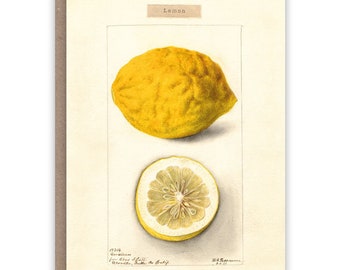 Carte de Voeux Citron