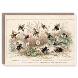 Carte de voeux Abeille