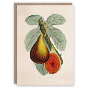 Greeting Card Fig