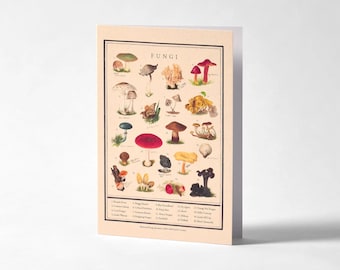 Greeting Card FUNGI