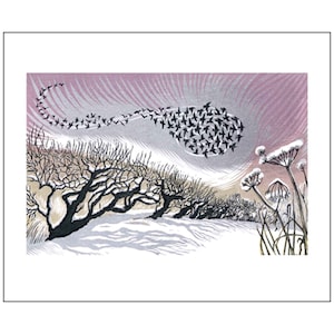 Greeting Card Midwinter Starlings