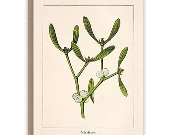 Greeting Card MISTLETOE
